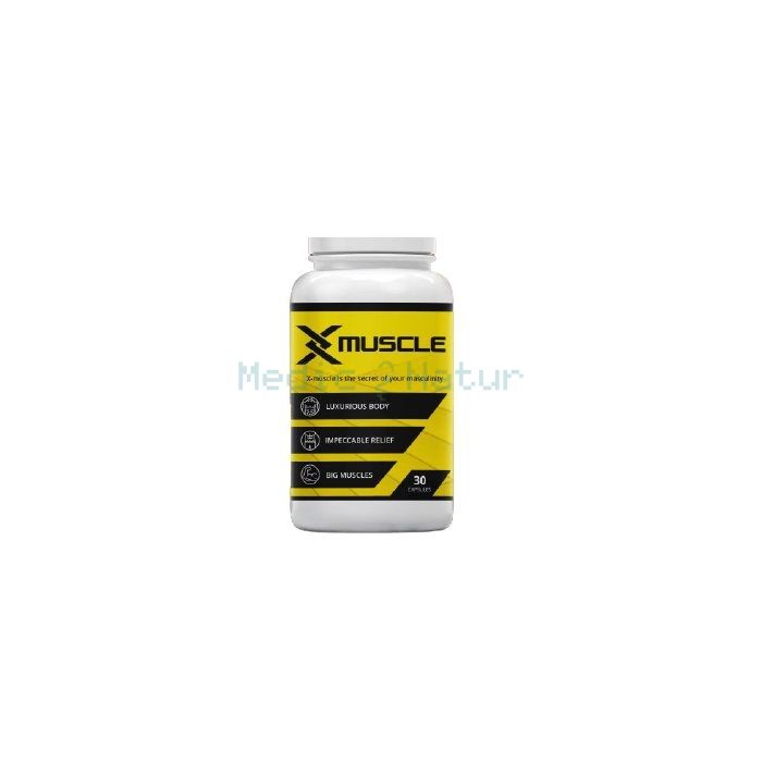 ✙ X-Muscle - for muscle building