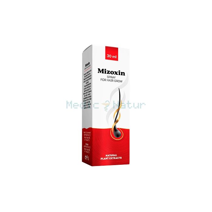 ✙ Mizoxin - hair restoration product