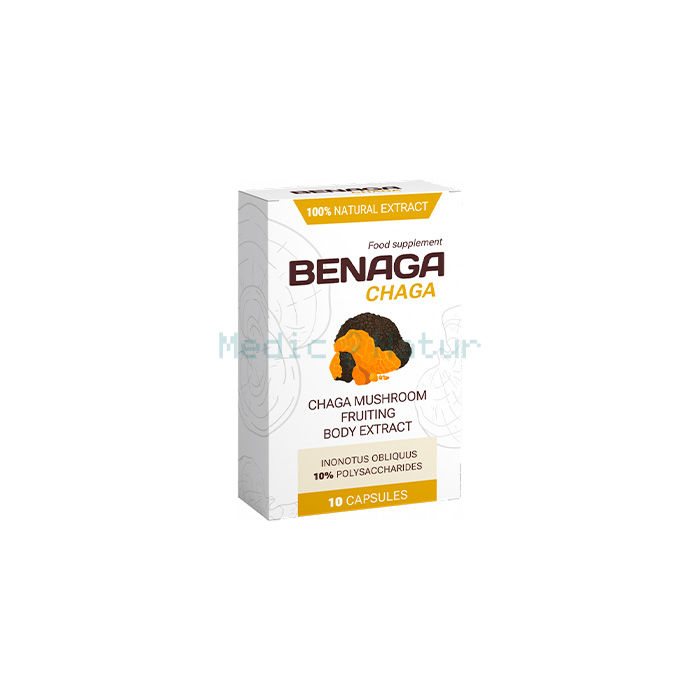 Benaga Chaga 