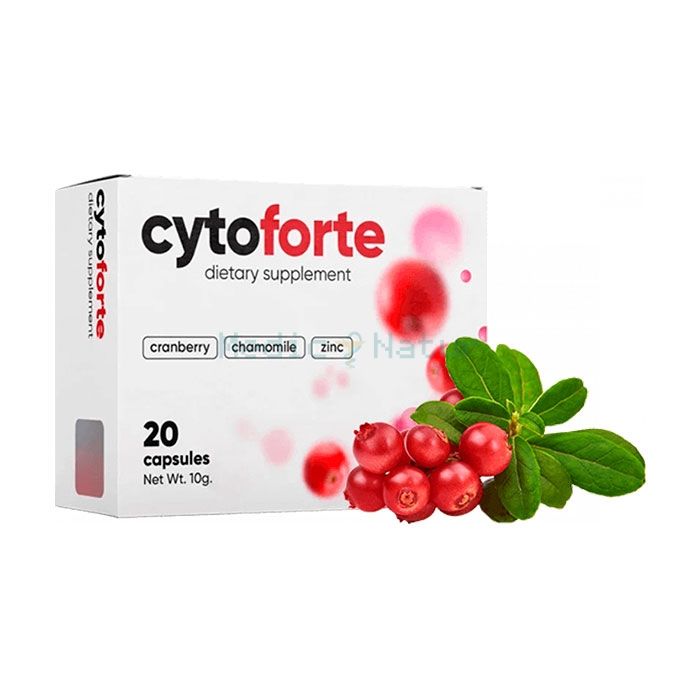 ✙ Cytoforte - միջոց ցիստիտի համար